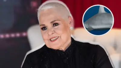 Nieto de Lupita D'Alessio sufre mordida de tiburón; su hermano lo rescata en dramático incidente