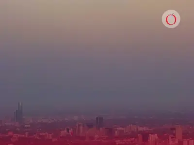 No habrá Doble Hoy No Circula este sábado 21 de febrero en CDMX y Edomex