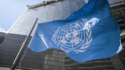 ONU alerta: feminicidios, desapariciones y trata persisten sin control en México y el mundo