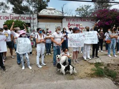 PAN exige investigación por vínculos de Cravioto con fundación y desalojo de refugio