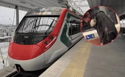 Pasajero del Tren Insurgente causa indignación al orinar en botella en pleno viaje