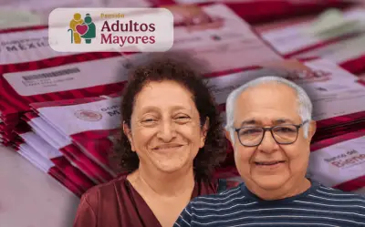 Pensión Bienestar: Gobierno lanza canal oficial de WhatsApp para calendarios de pago