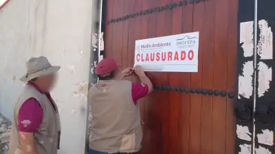 Profepa clausura predios en Reserva Cuxtal de Yucatán por construcciones ilegales