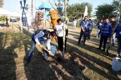 San Nicolás inicia campaña de reforestación para recuperar áreas verdes