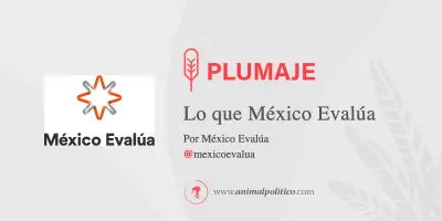 SCJN valida preferencia a normalistas en magisterio: ¿Retroceso educativo?