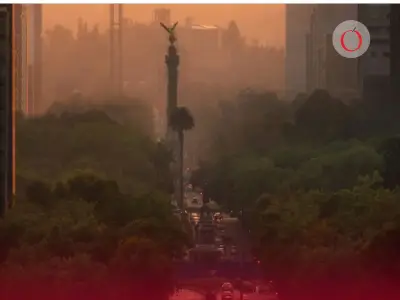 Sedema suspende contingencia: No habrá doble Hoy No Circula este domingo 22 de febrero