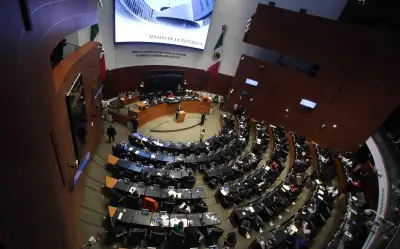 Senado aprueba ingreso de 19 marines estadounidenses a México para entrenamiento militar