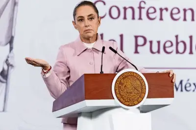 Sheinbaum confirma detenidos en caso mineros de Sinaloa; hallan nuevas fosas clandestinas