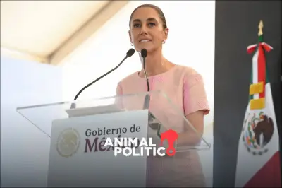 Sheinbaum desde Sinaloa: Frenar Drogas y Tráfico de Armas, Prioridad con EU