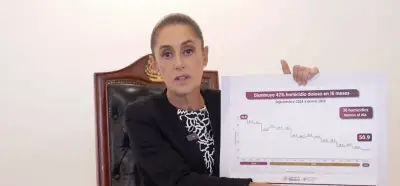 Sheinbaum destaca reducción del 42% en homicidios dolosos como logro nacional