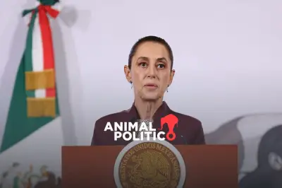 Sheinbaum presenta iniciativa para reducir costos de elecciones en México