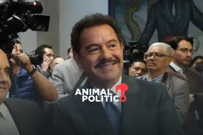 Sin consenso entre aliados de Morena, reforma electoral enfrenta obstáculos