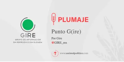 Suprema Corte elimina norma que permitía abortos sin consentimiento de mujeres con discapacidad en Sinaloa