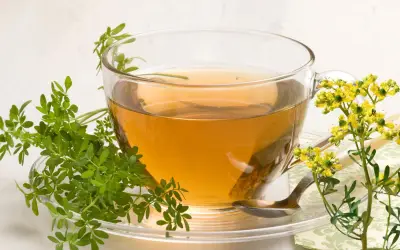 Té de Ruda: Usos Medicinales y Beneficios para la Salud en la Medicina Tradicional