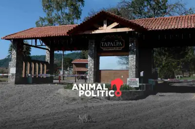 Tapalpa, Jalisco: La última guarida del 'Mencho' antes de su abatimiento