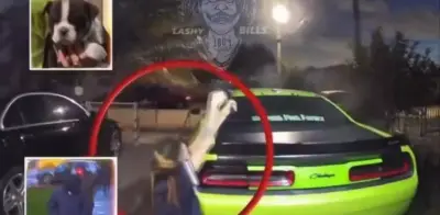 Tiroteo en Florida por robo de cachorros de lujo: mujer se defiende a balazos