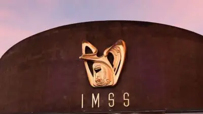 Trabajadores Independientes: Costo y Pasos para Afiliarse al IMSS en 2026