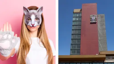 UNAM desmiente manta falsa contra comunidad 'therian' en redes sociales