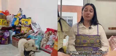 Veterinaria con cáncer terminal pide comida para animales en su velorio, no flores