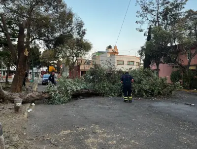 Vientos Fuertes Azotan CDMX: Alerta Naranja en 9 Alcaldías y Amarilla en 7