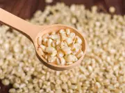 Agricultura atiende 24,826 solicitudes de incentivos para maíz blanco en seis estados