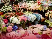 Alerta de la SSC: Estafas en línea aumentan por Día del Amor y la Amistad