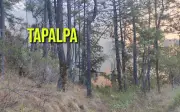 Brigadas combaten activo incendio forestal en bosques de Tapalpa, Jalisco