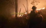 Brigadistas combaten incendios simultáneos en el Bosque de la Primavera y Río Salado en Jalisco
