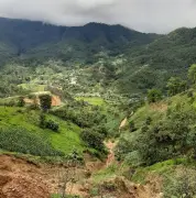 Brote de Sarampión en Guerrero: Maestra Denuncia Más de 20 Casos y Muerte de Niño