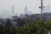 CDMX registra su inicio de año más contaminado en décadas por incendios forestales