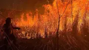Chiapas enfrenta 20 incendios activos; tres afectan Áreas Naturales Protegidas