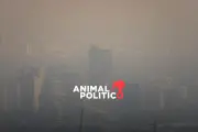 Contingencia Ambiental en CDMX: Hoy No Circula Extendido por Contaminación