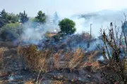 Controlan incendio forestal en Atizapán tras intensa labor de brigadistas