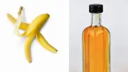 Cáscara de Plátano y Vinagre: Un Fertilizante Casero para Plantas en el Hogar