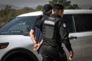 Cuatro detenidos tras violento despojo armado en viñedos de La Redonda