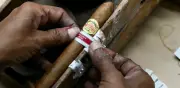 Cuba cancela el Festival del Habano 2026 por crisis energética y falta de combustible