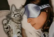 ¿Cómo lograr que tu gato te permita dormir toda la noche? Consejos de expertos