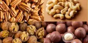 Descubre la amplia variedad de nueces: tipos, características y beneficios nutricionales