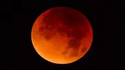 Eclipse Lunar Total 2026: Fecha y Lugares para Ver la Luna de Sangre en México