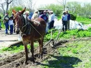 Ejidatarios del Edomex rechazan Testamento Agrario por promover pago de trámite gratuito