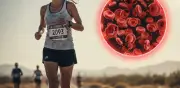 Estudio revela que correr maratones extremos daña glóbulos rojos y causa inflamación severa