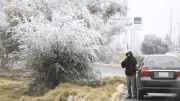 Frente Frío 37 y Masa Ártica Causarán Nieve, Vientos y Bajas Temperaturas en México