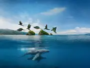 Guadalajara: Cuna de cineastas como Del Toro y creadoras documentales como Mati Covarrubias