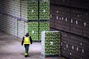 Heineken Anuncia Recorte Masivo de Hasta 6,000 Empleos a Nivel Global