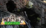 Incendio en bodega de refrigeración de Guadalajara: una persona lesionada y seis gatitos rescatados