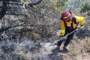 Incendio forestal arrasa zona protegida en Tamaulipas; autoridades combaten las llamas