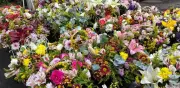 Mercado de Jamaica se prepara para el boom de ventas de flores en San Valentín