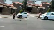 Mujer es atropellada tras intentar cruzar avenida frente a Leones Negros