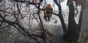 Oaxaca enfrenta 50 incendios forestales en 2026 con afectación de 7,495 hectáreas