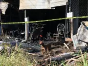 Perrito Canelo guarda lealtad en escombros tras incendio fatal en Chilpancingo